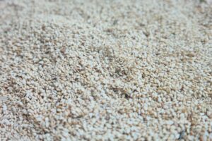 Sesame Seeds from Renamy Global Resources Ltd