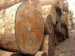 Reach out to Renamy Global Resources today for Eku wood export from Nigeria