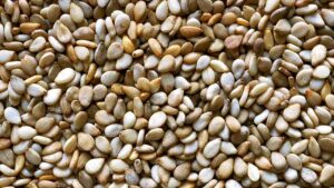 Sesame Seeds from Renamy Global Resources Ltd