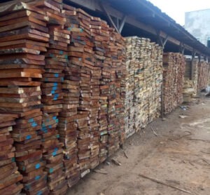 Eku Wood from Renamy Global Resources Ltd