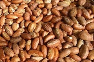 Contact Renamy Global Resources Ltd today for a bitter kola exporter from Nigeria