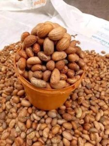 Contact Renamy Global Resources Ltd today to partner with an African bitter kola exporter