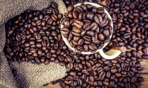 Contact Renamy Global Resources Ltd today for coffee beans export from Nigeria