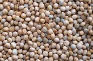 Contact Renamy Global Resources Ltd today if you need a premium pigeon peas exporter from Nigeria