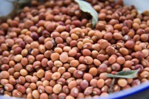 Contact Renamy Global Resources Ltd today for pigeon peas export from Nigeria