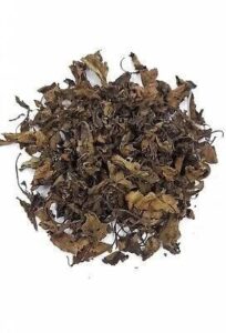 Fresh green scent leaves harvested in Nigeria for wholesale supply and international export by Renamy Global Resources.