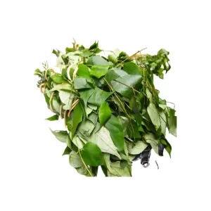 Dried utazi leaves from Nigeria prepared for wholesale export