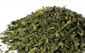 Fresh Atama leaves supplier in Nigeria for wholesale export