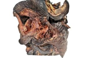 Dried snails from Nigeria prepared for wholesale, retail, restaurants, and export markets