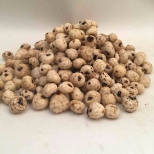 Contact Renamy Global Resources Ltd today to help you avoid tiger nut export pitfalls