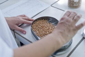 Wheat quality testing for agricultural commodity buyers